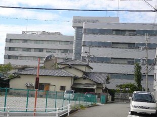 浜の宮駅 徒歩18分 1階の物件内観写真